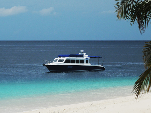 WavePark Mentawai Transport Boat