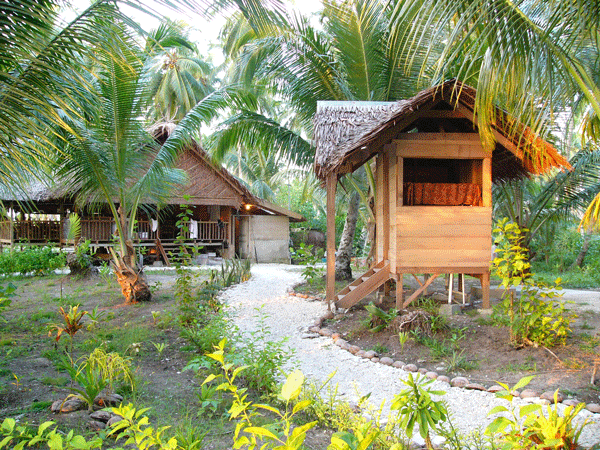 Surf Camp, WavePark, Mentawai's Surf Trip