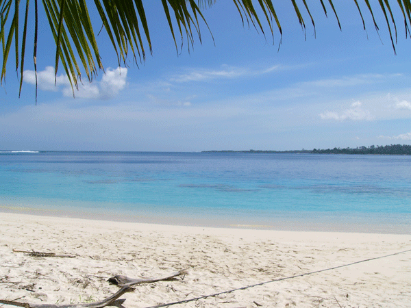 Hideaways Tropical Beach, WavePark, Mentawai's Surf Trip