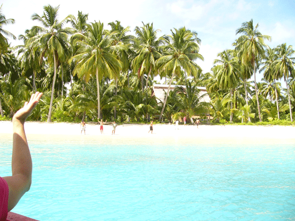 Surf Camp, WavePark, Mentawai's Surf Trip