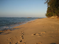 North Shore Beach View Looking Toward Turtle Bay