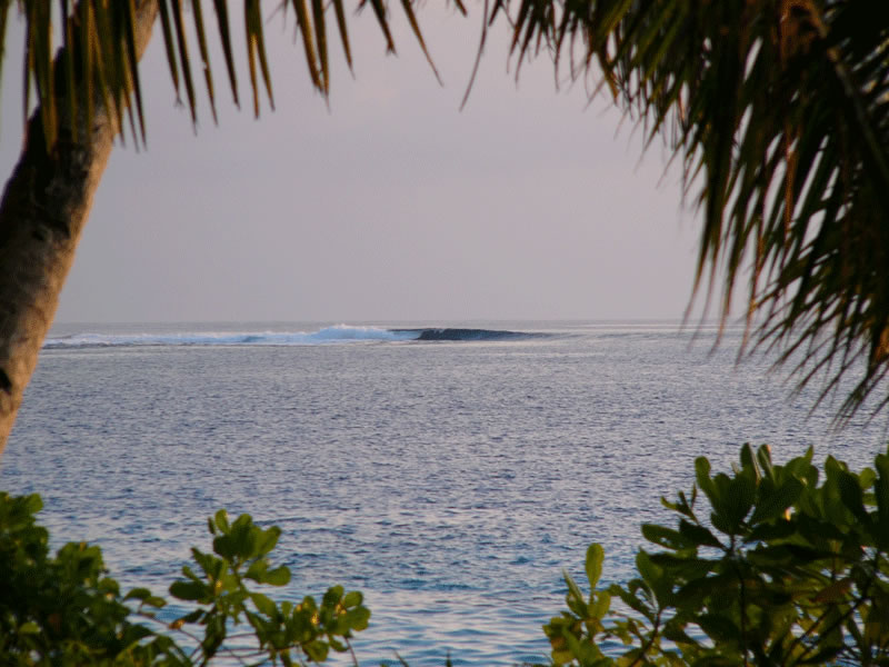 Mentawai Surf Trip - WavePark 2005, Empty Hideaways