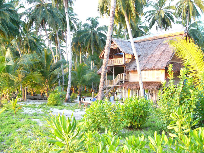 Mentawai Surf Trip - WavePark Losmen